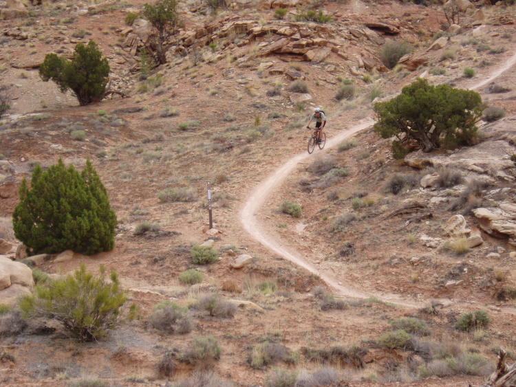 Copy of P4130062.jpg